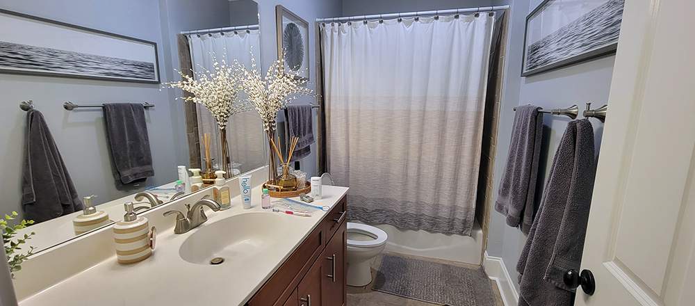 Home Real Estate Photography