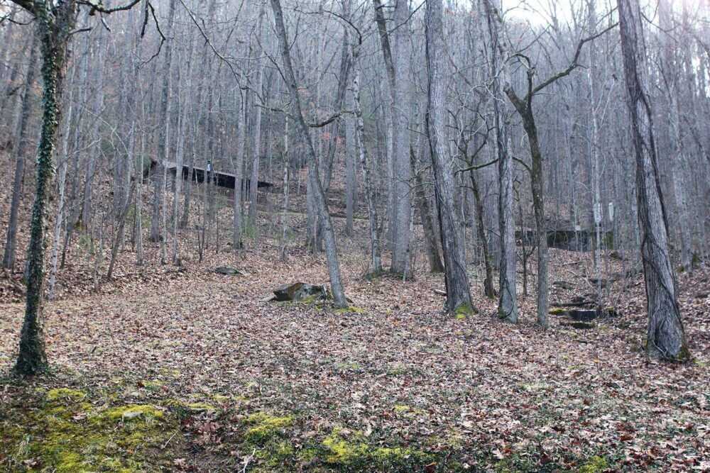 North Carolina Cabin In the Woods Real Estate Photography