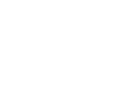 expertise-web-developer-badge